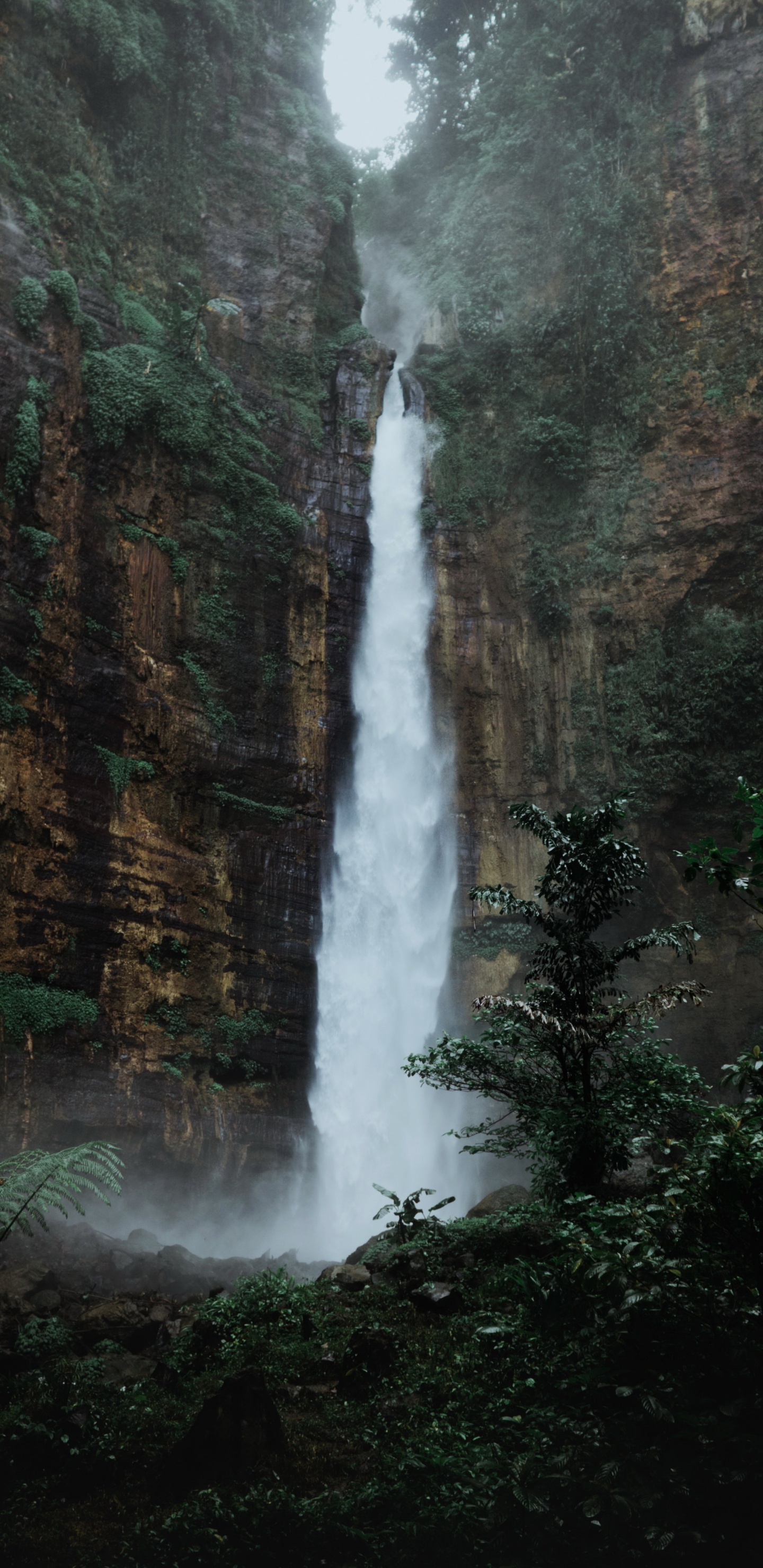 Обои голубой хлопковый водопад, водопад, вода, растение, природный ландшафт в разрешении 1440x2960