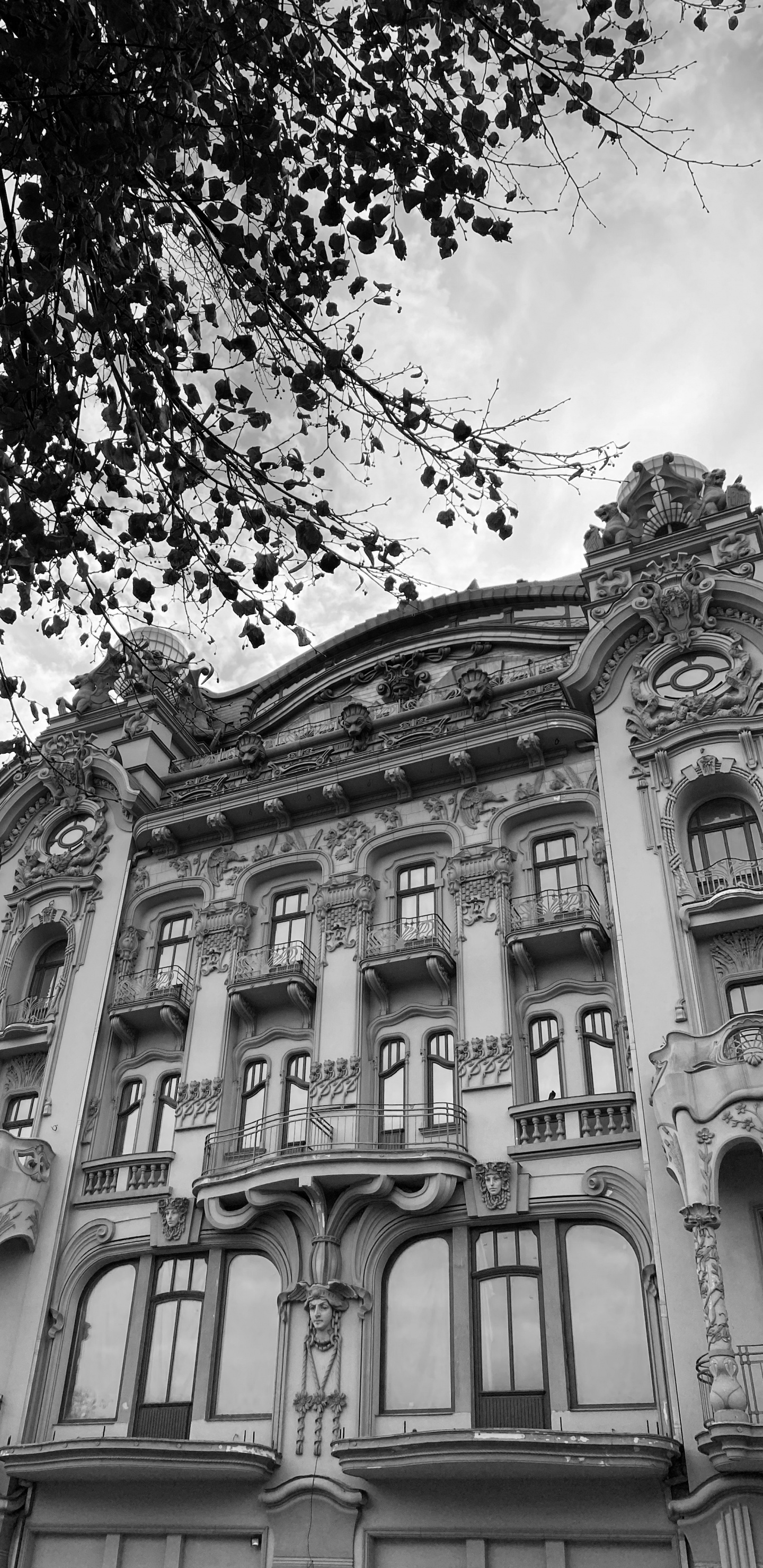 Обои ориентир, классическая архитектура, черный и белый, история, фасад в разрешении 1440x2960