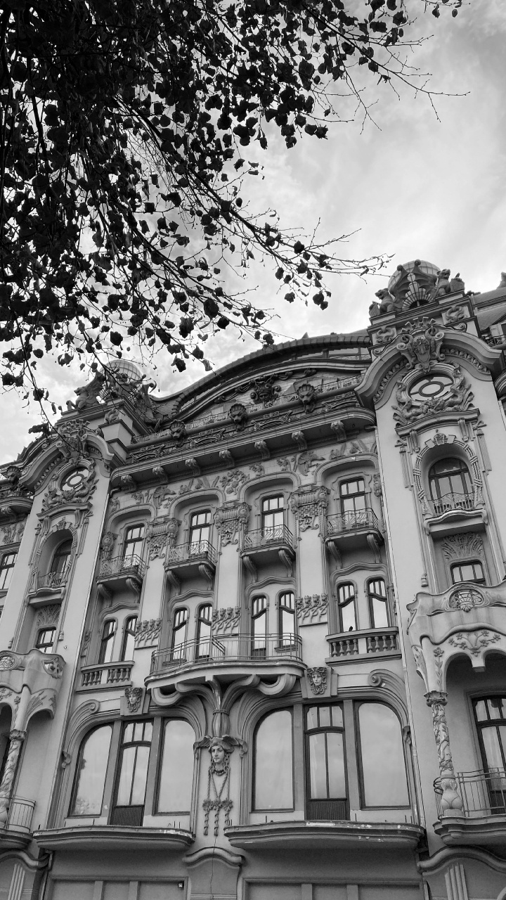 Обои ориентир, классическая архитектура, черный и белый, история, фасад в разрешении 720x1280