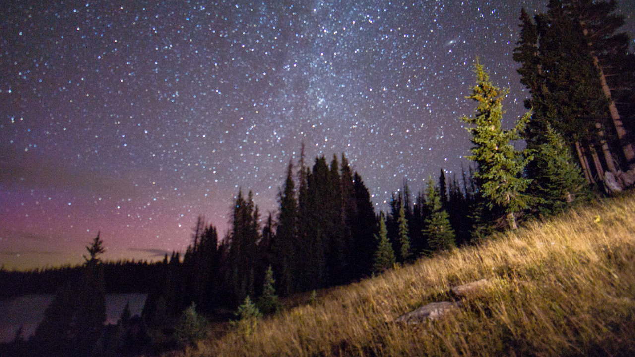 Обои природа, ночь, дерево, звезда, атмосфера в разрешении 1280x720