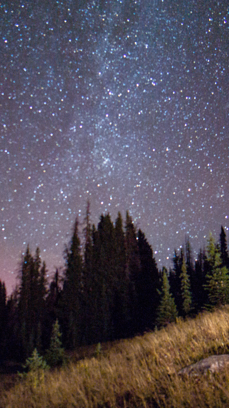 Обои природа, ночь, дерево, звезда, атмосфера в разрешении 750x1334