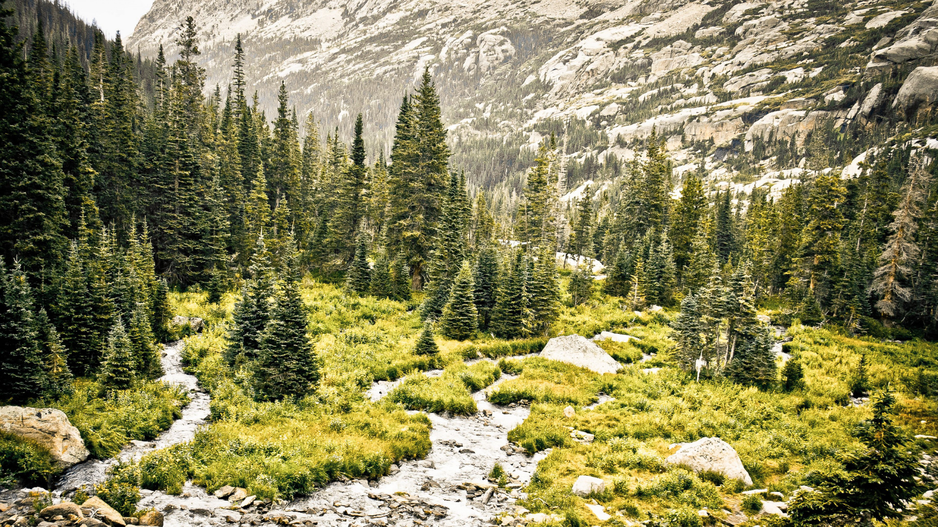 Обои дерево, дикая местность, гора, природный заповедник, растительность в разрешении 1920x1080