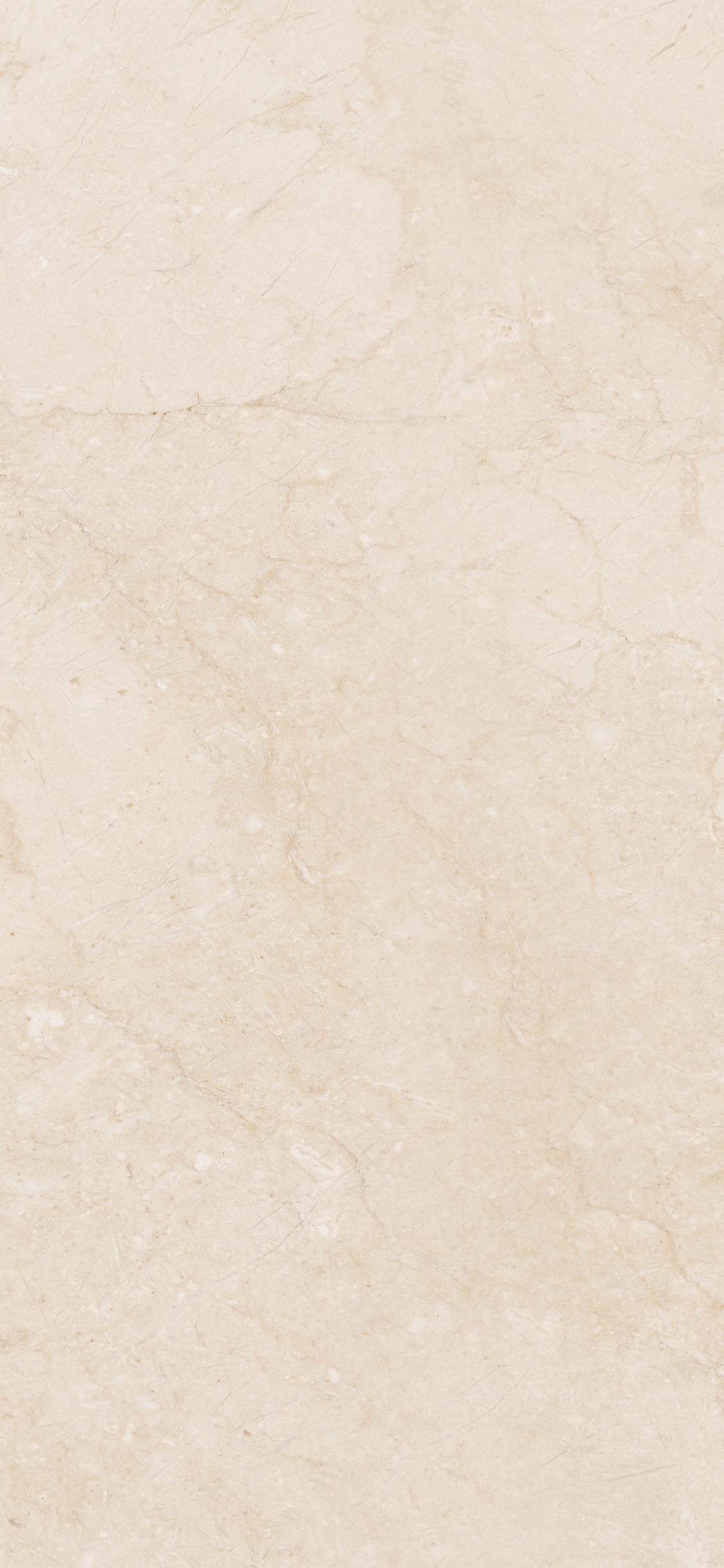 Обои цвет беж, мрамор, известняк, текстура в разрешении 1125x2436