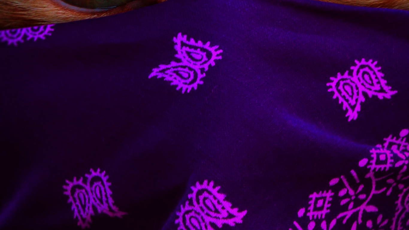 Обои кошка в платке 2021-01, бакенбарды, голова, кот, глаз в разрешении 1366x768