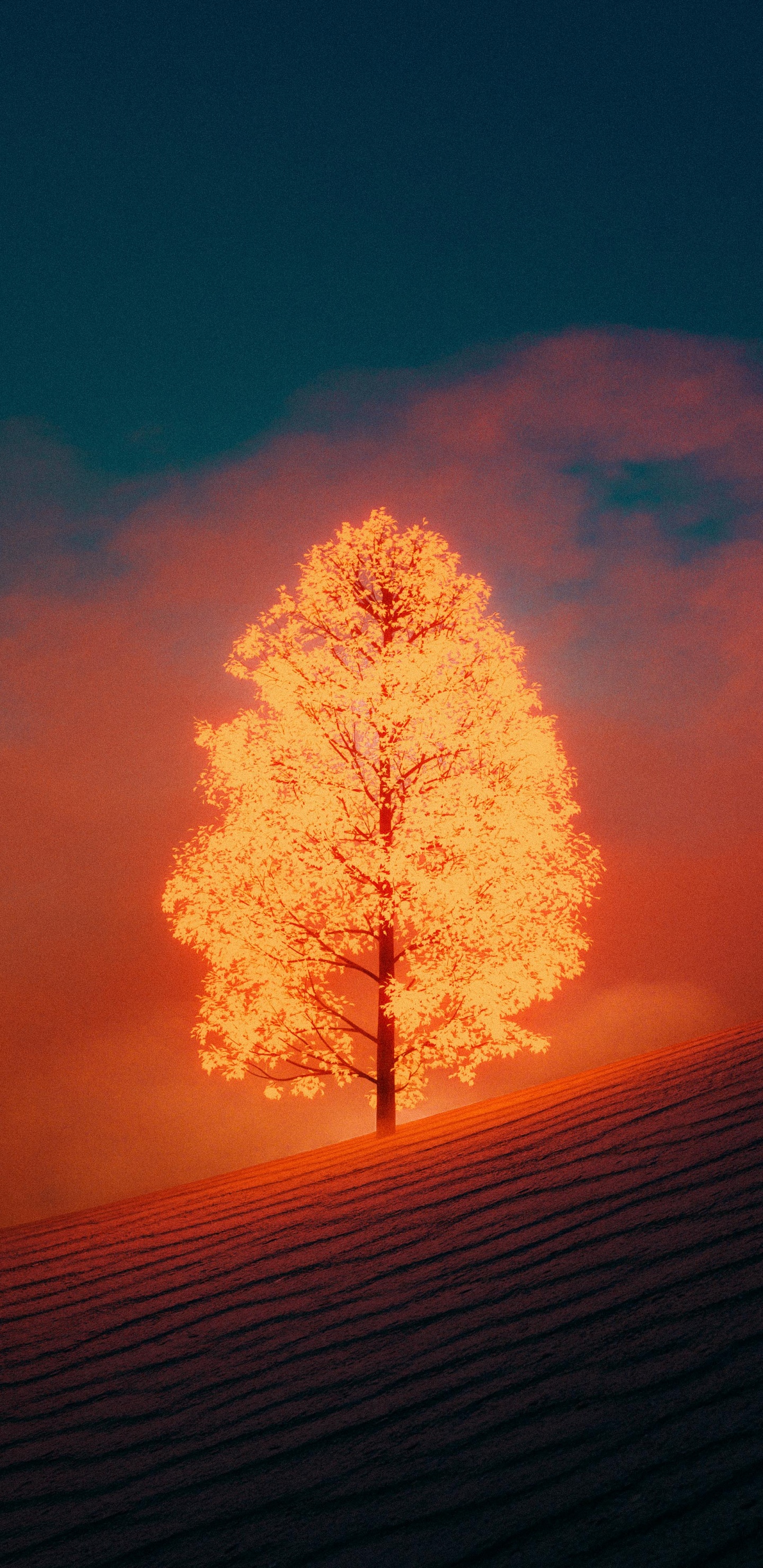 Обои б-тап, облако, атмосфера, дерево, растение в разрешении 1440x2960