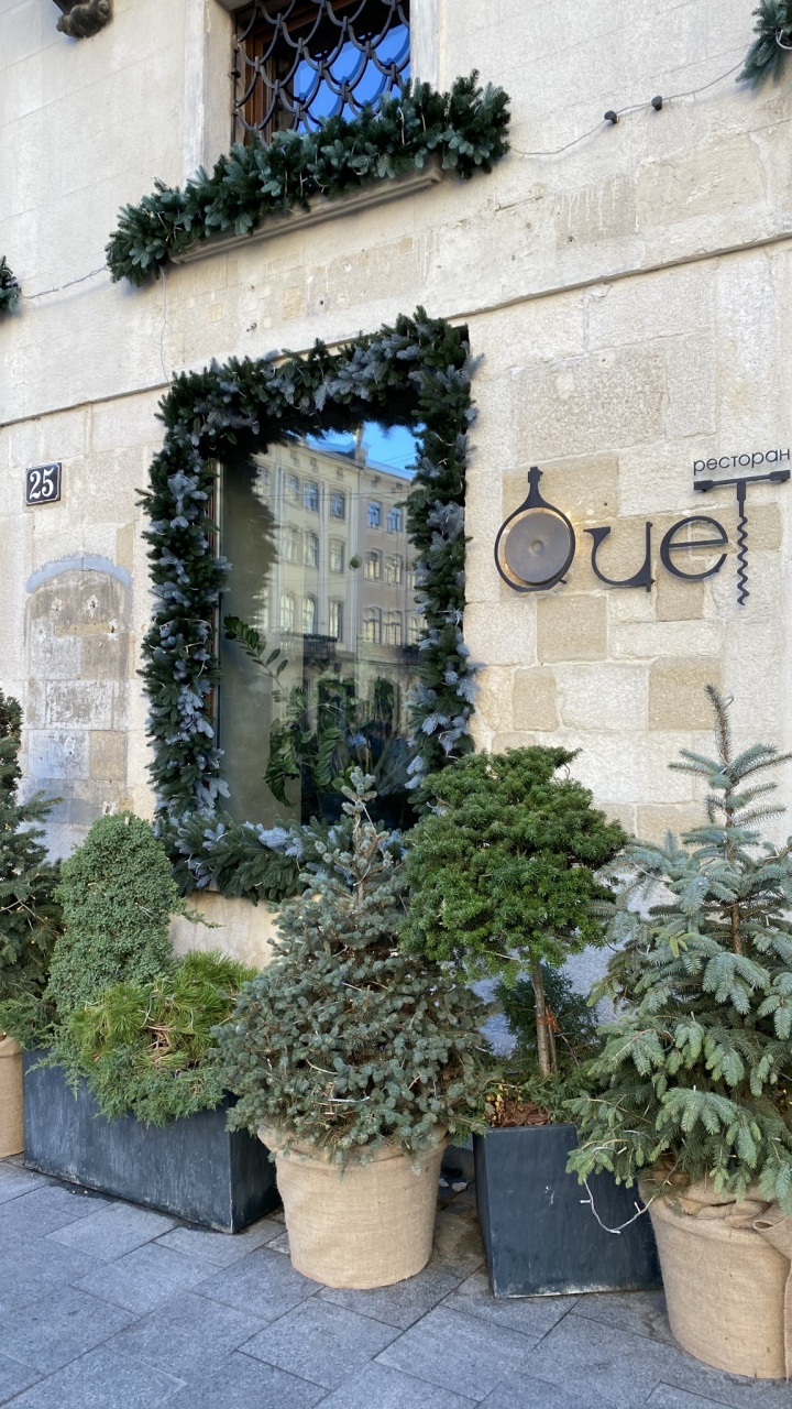 Обои дерево, цветочный горшок, комнатное растение, однолетнее растение в разрешении 720x1280