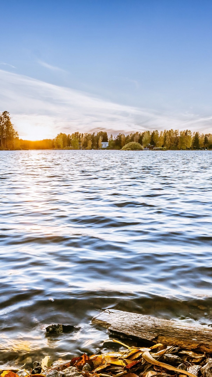 Обои отражение, вода, облако, растение, гидроресурсы в разрешении 720x1280