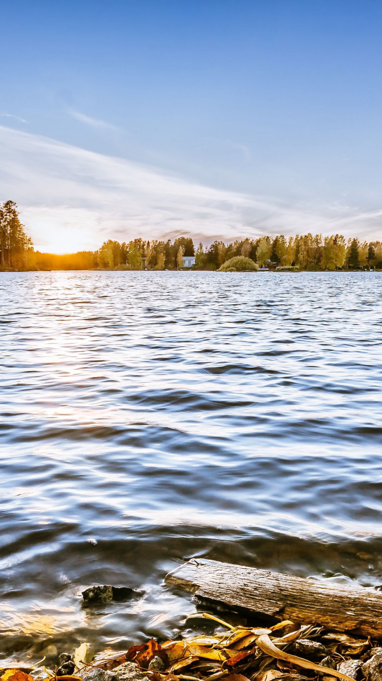 Обои отражение, вода, облако, растение, гидроресурсы в разрешении 750x1334