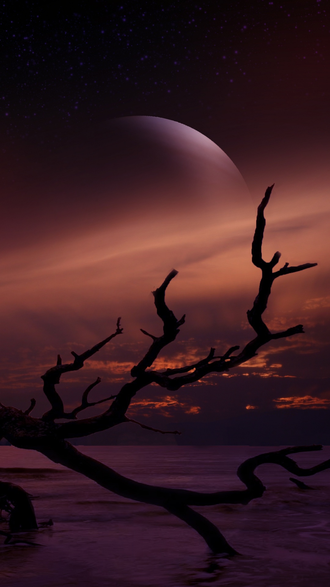 Обои пейзаж, астрономический объект, свет, лунный свет, атмосфера в разрешении 1080x1920