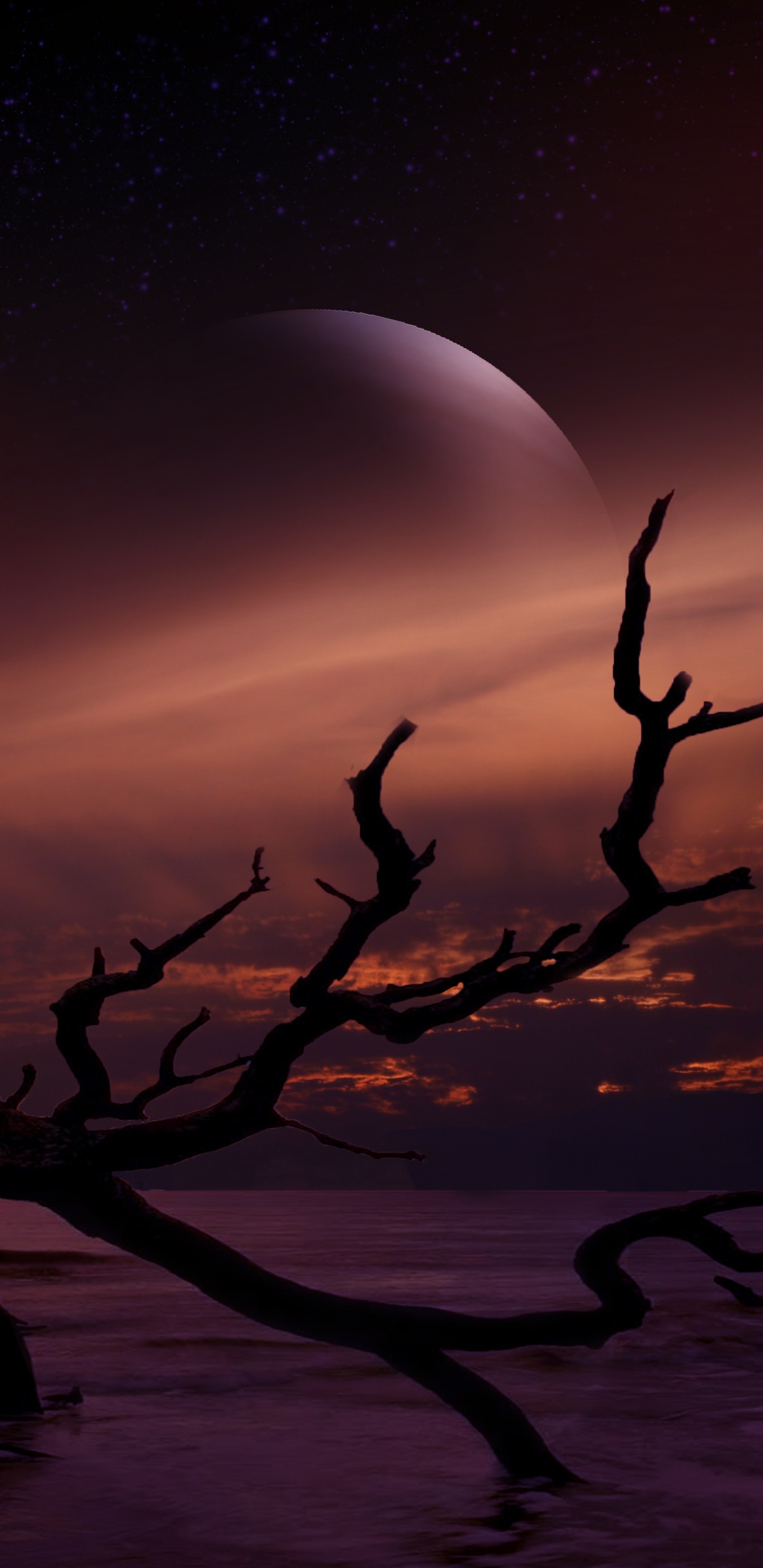 Обои пейзаж, астрономический объект, свет, лунный свет, атмосфера в разрешении 1440x2960