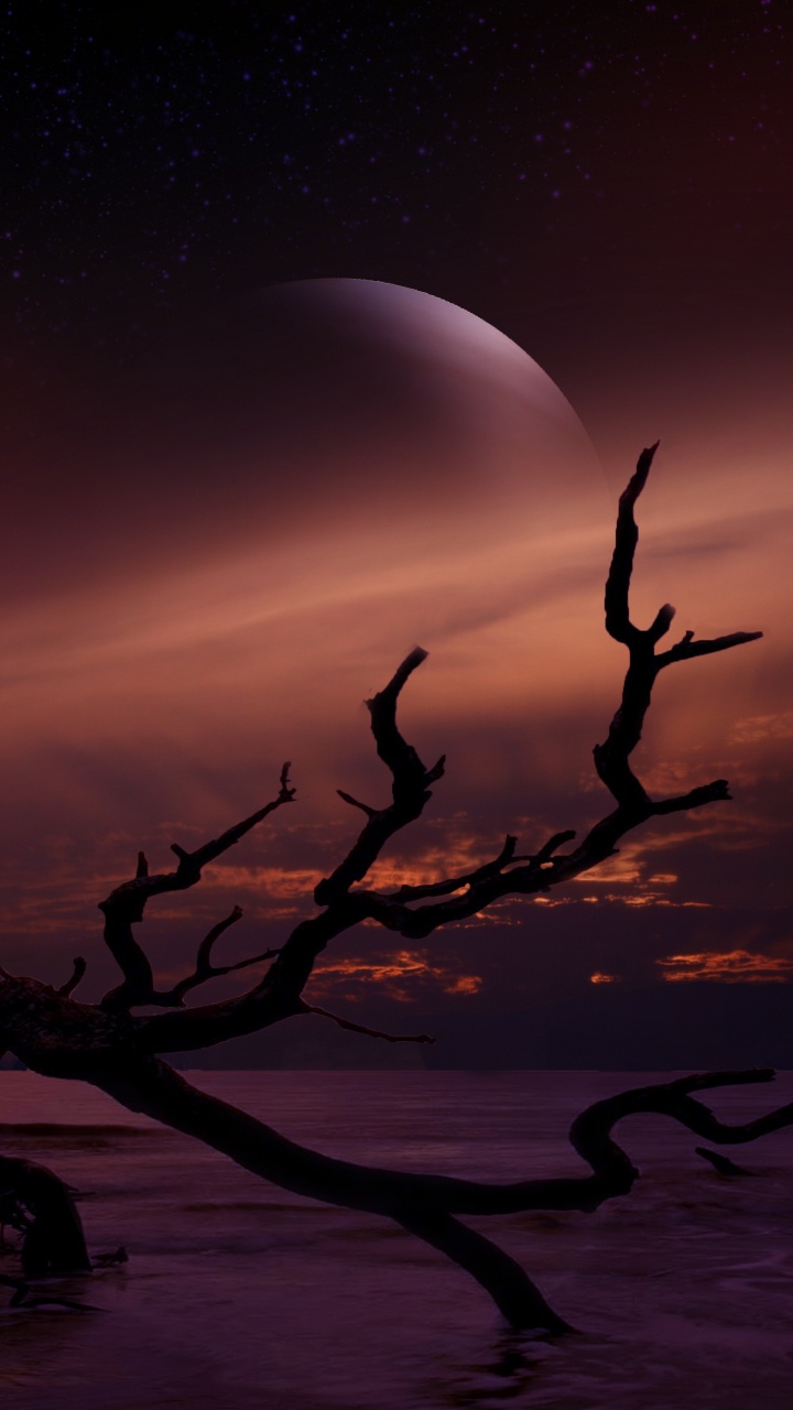 Обои пейзаж, астрономический объект, свет, лунный свет, атмосфера в разрешении 720x1280