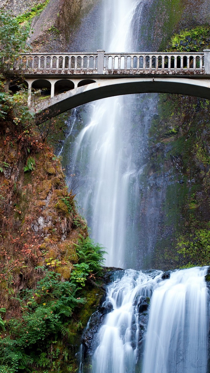 Обои Малтнома-Фолс, река Колумбия, водопад, гидроресурсы, водоем в разрешении 720x1280