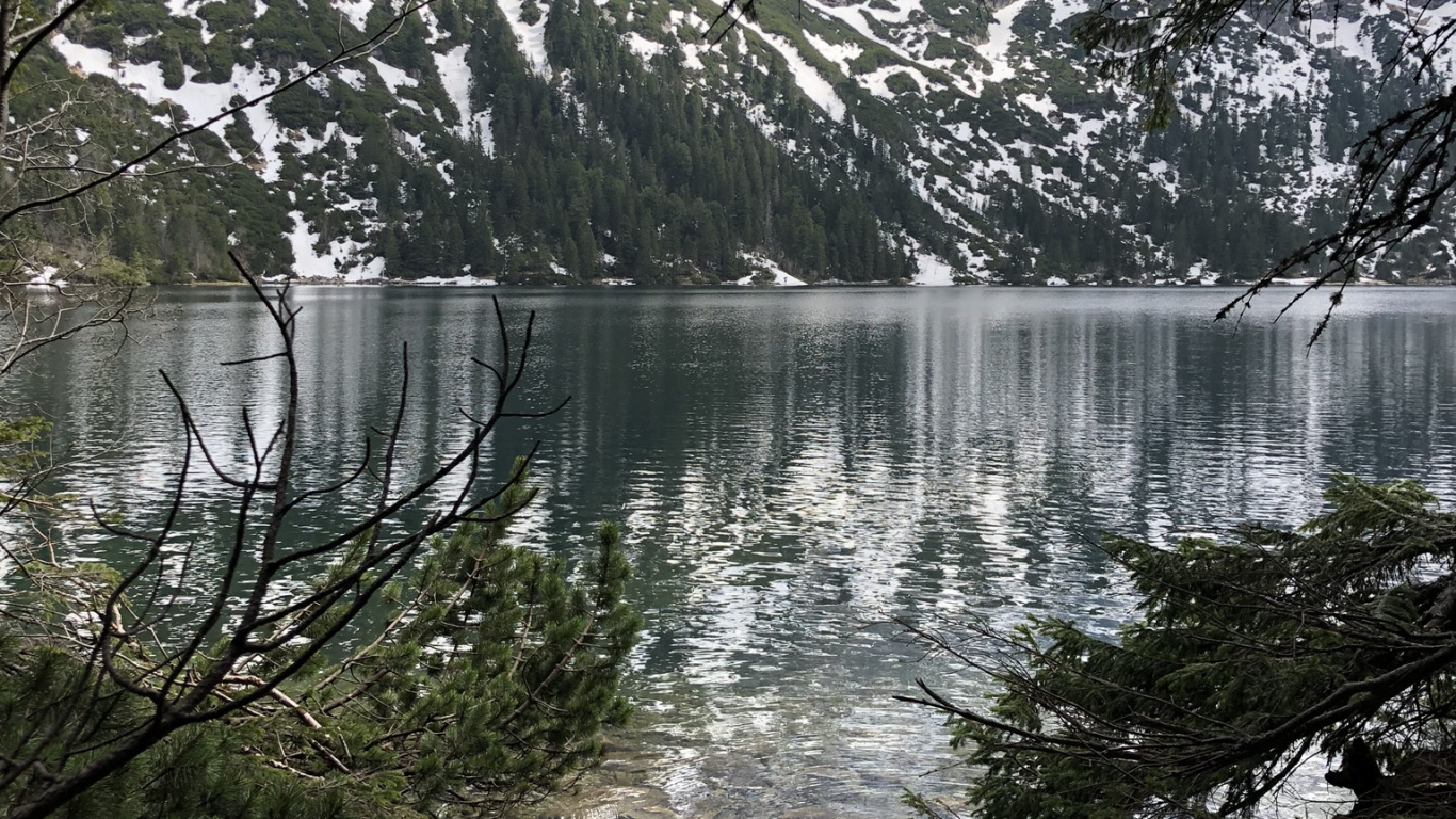 Обои вода, ветвь, прут, Банк, водоток в разрешении 1366x768