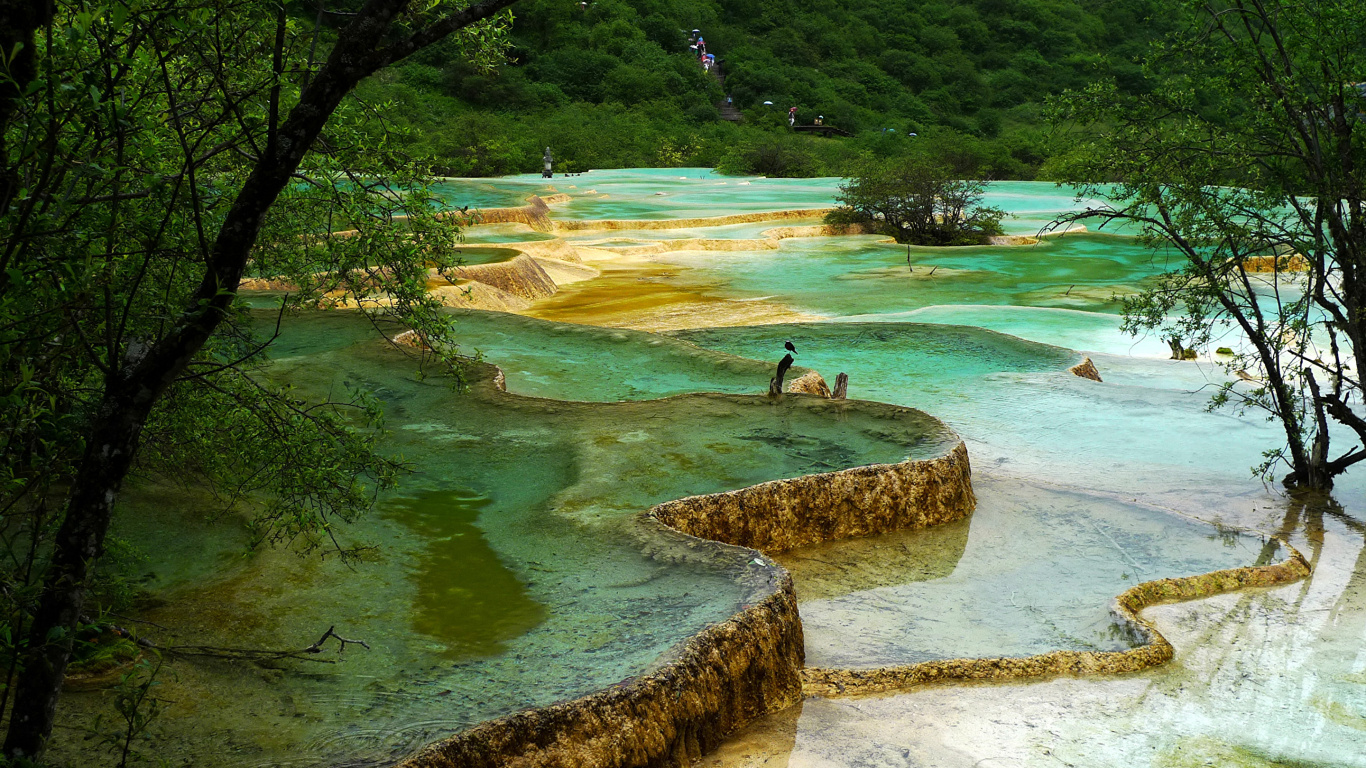 Обои природа, парк, природный парк, водоем, вода в разрешении 1366x768