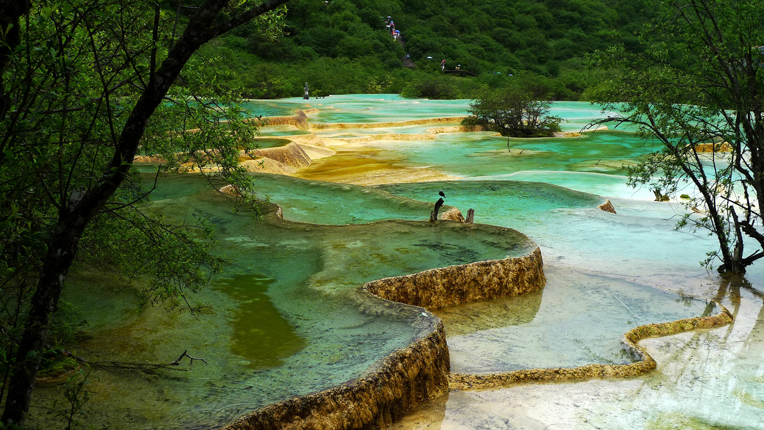 Обои природа, парк, природный парк, водоем, вода в разрешении 2560x1440