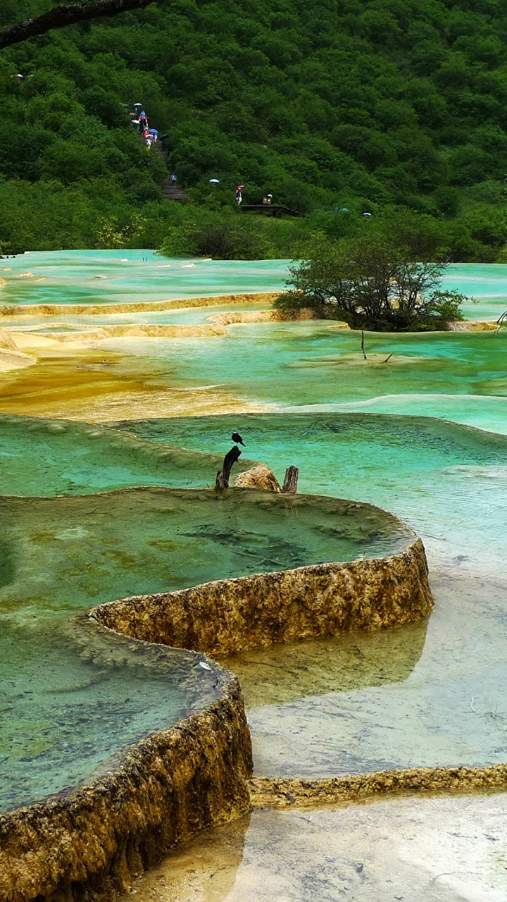 Обои природа, парк, природный парк, водоем, вода в разрешении 720x1280