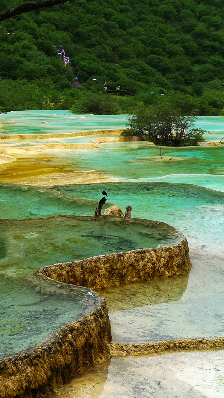 Обои природа, парк, природный парк, водоем, вода в разрешении 750x1334