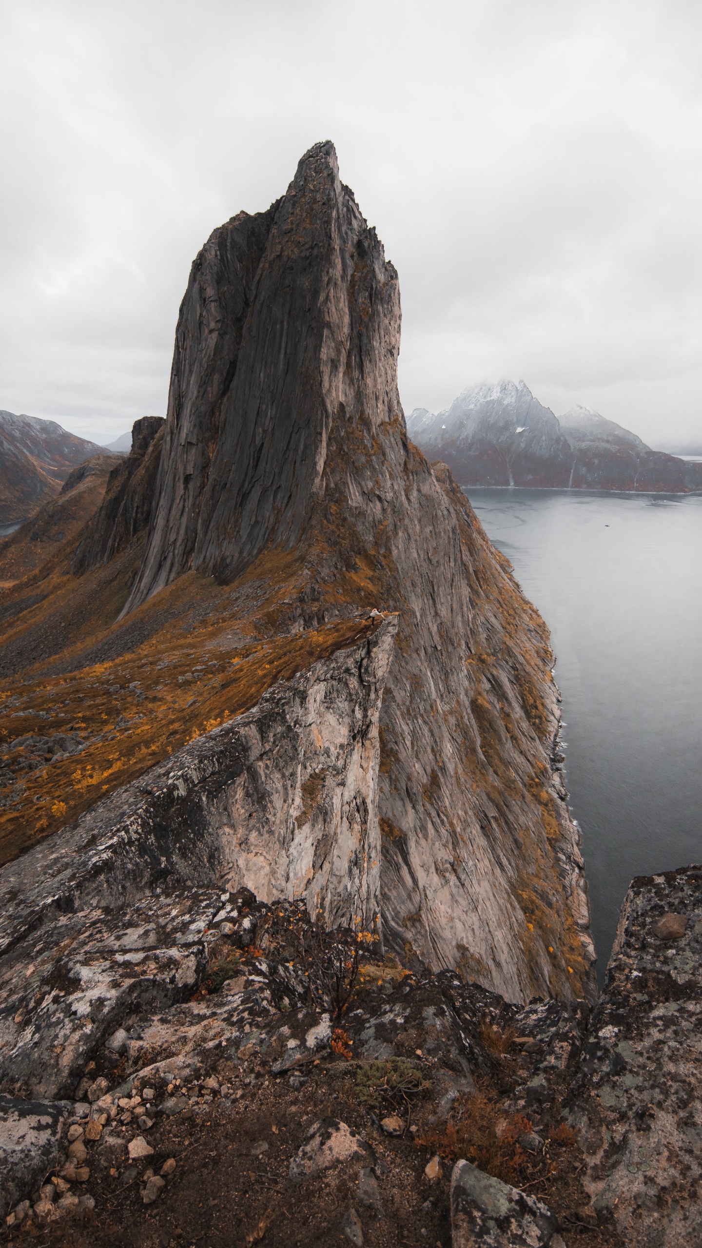 Обои Норвегия, гора, облако, вода, растение в разрешении 1440x2560