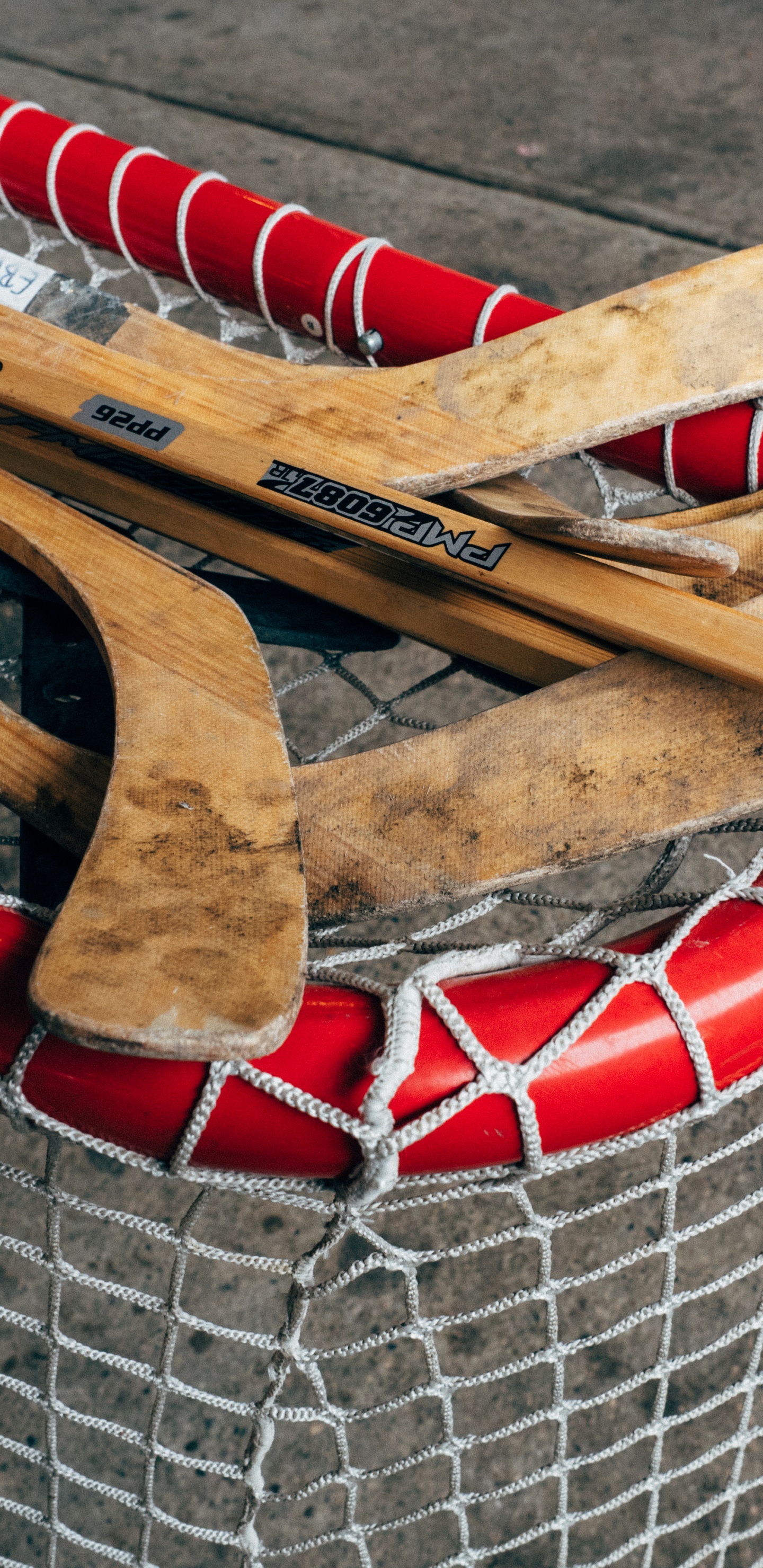 Обои хоккей, хоккейная шайба, занятие спортом, хоккейная клюшка, хоккей на льду в разрешении 1440x2960