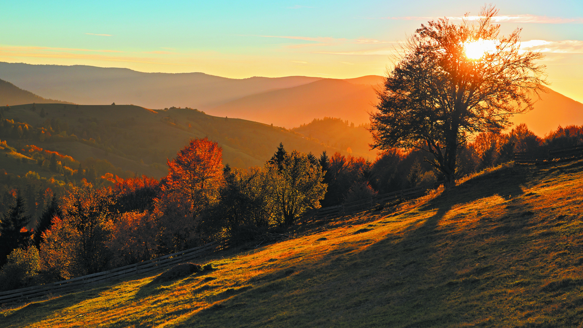 Обои Отель Auberge Ла-Кухней, природа, дерево, утро, лист в разрешении 1920x1080