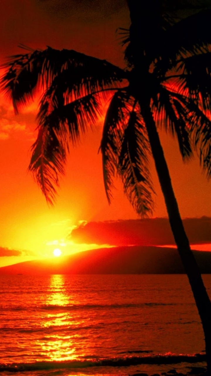 Обои закат, послесвечение, горизонт, восход солнца, небо в разрешении 720x1280