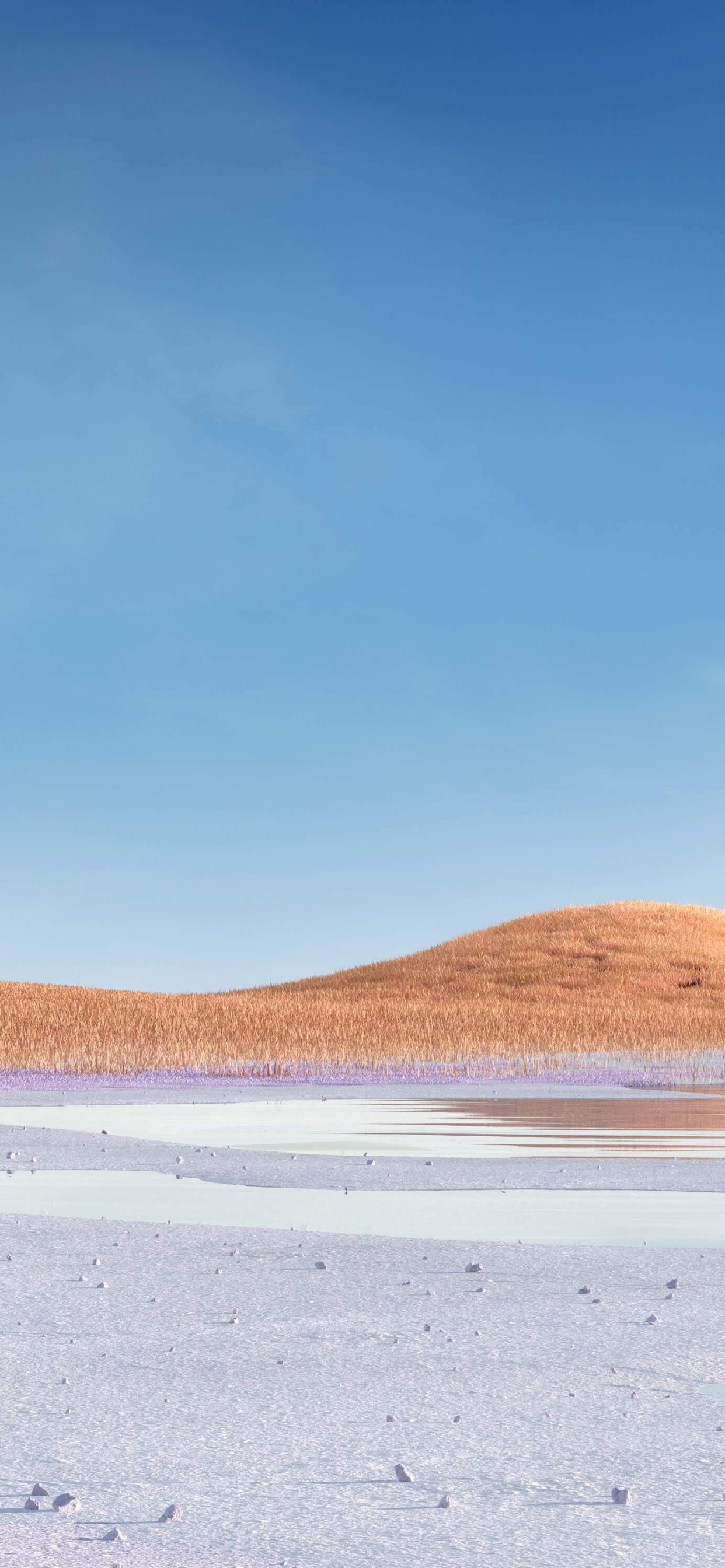 Обои Microsoft Surface, Microsoft Surface Pro, Surface, Поверхность Pro 7, Поверхность 3 в разрешении 1242x2688