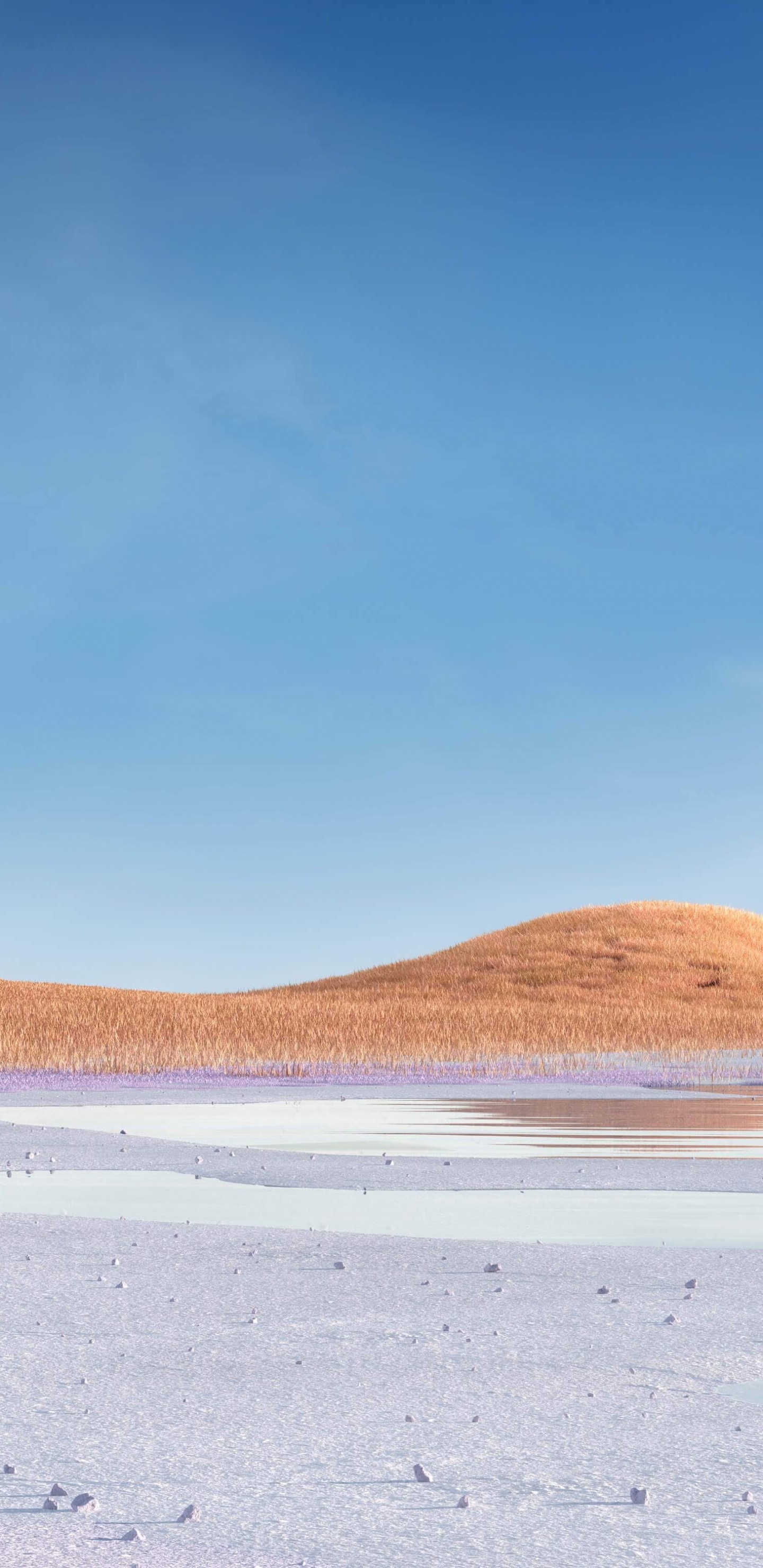 Обои Microsoft Surface, Microsoft Surface Pro, Surface, Поверхность Pro 7, Поверхность 3 в разрешении 1440x2960