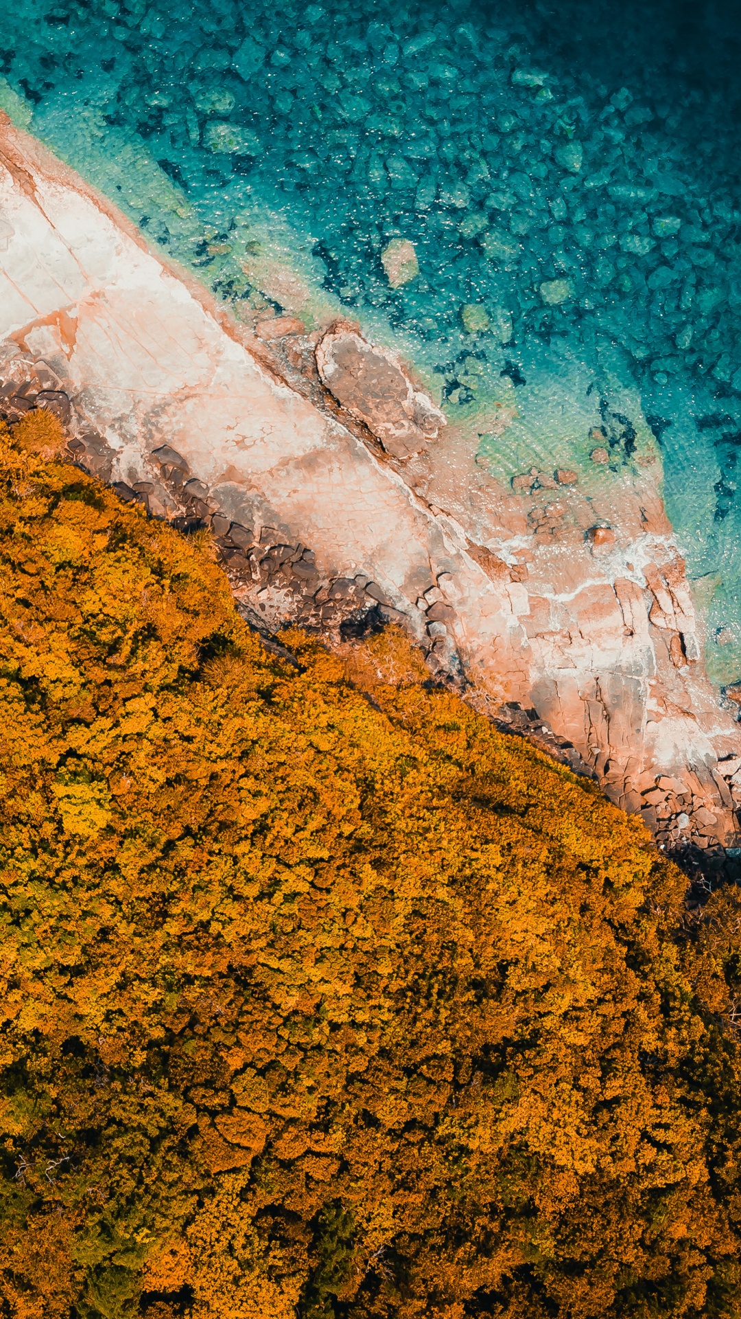 Обои вода, геометрия, математика, лист, Оранжевый цвет в разрешении 1080x1920