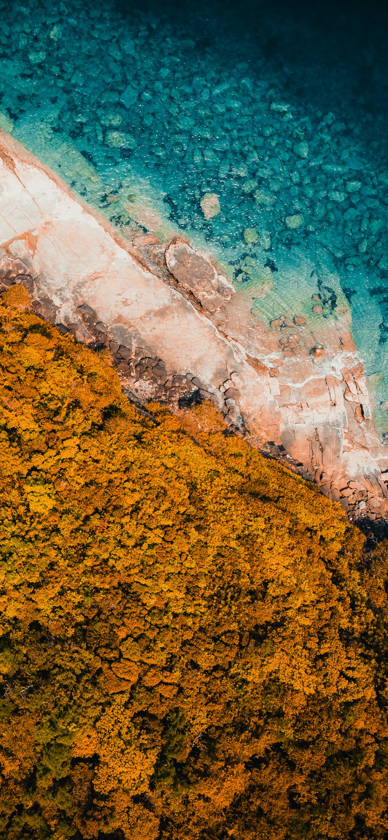 Обои вода, геометрия, математика, лист, Оранжевый цвет в разрешении 1242x2688