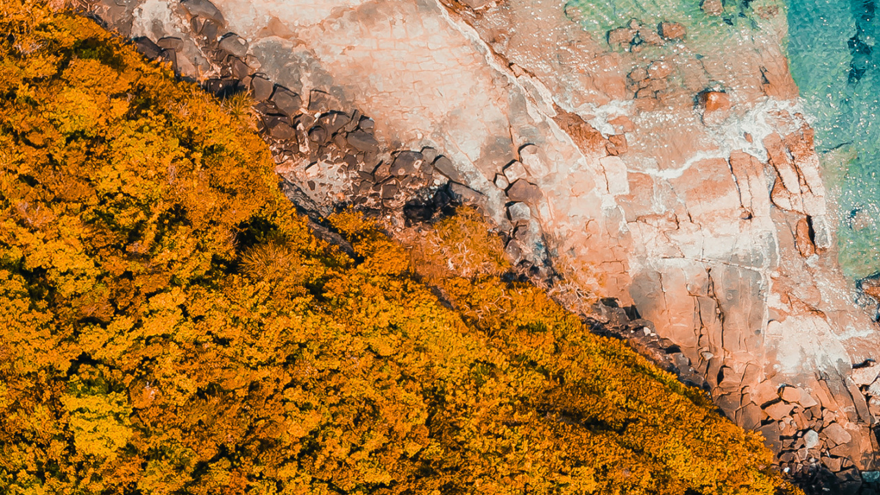 Обои вода, геометрия, математика, лист, Оранжевый цвет в разрешении 1280x720