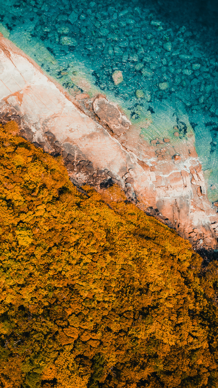 Обои вода, геометрия, математика, лист, Оранжевый цвет в разрешении 750x1334