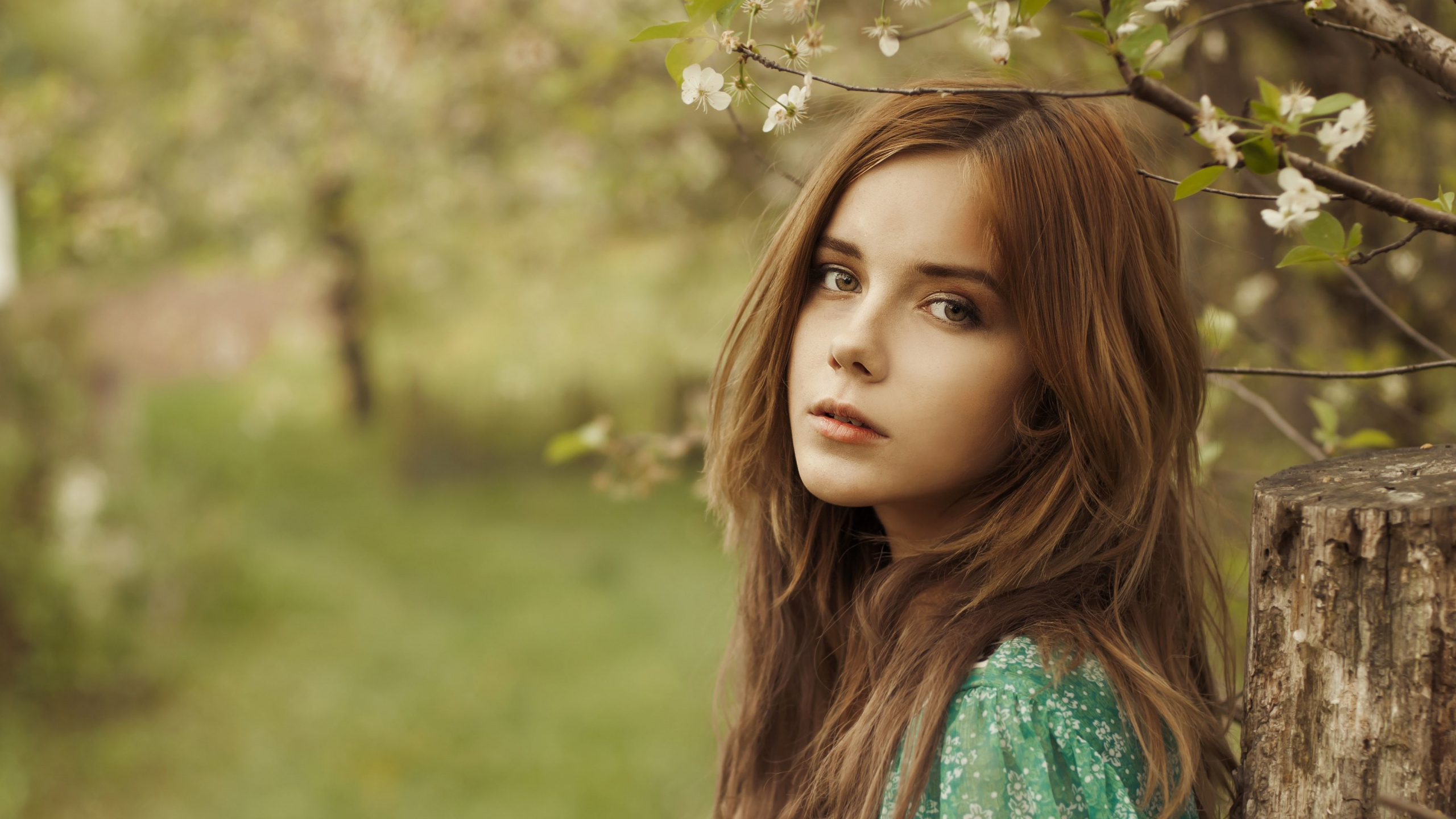 Обои каштановые волосы, волосы, красота, длинные волосы, прическа в разрешении 2560x1440