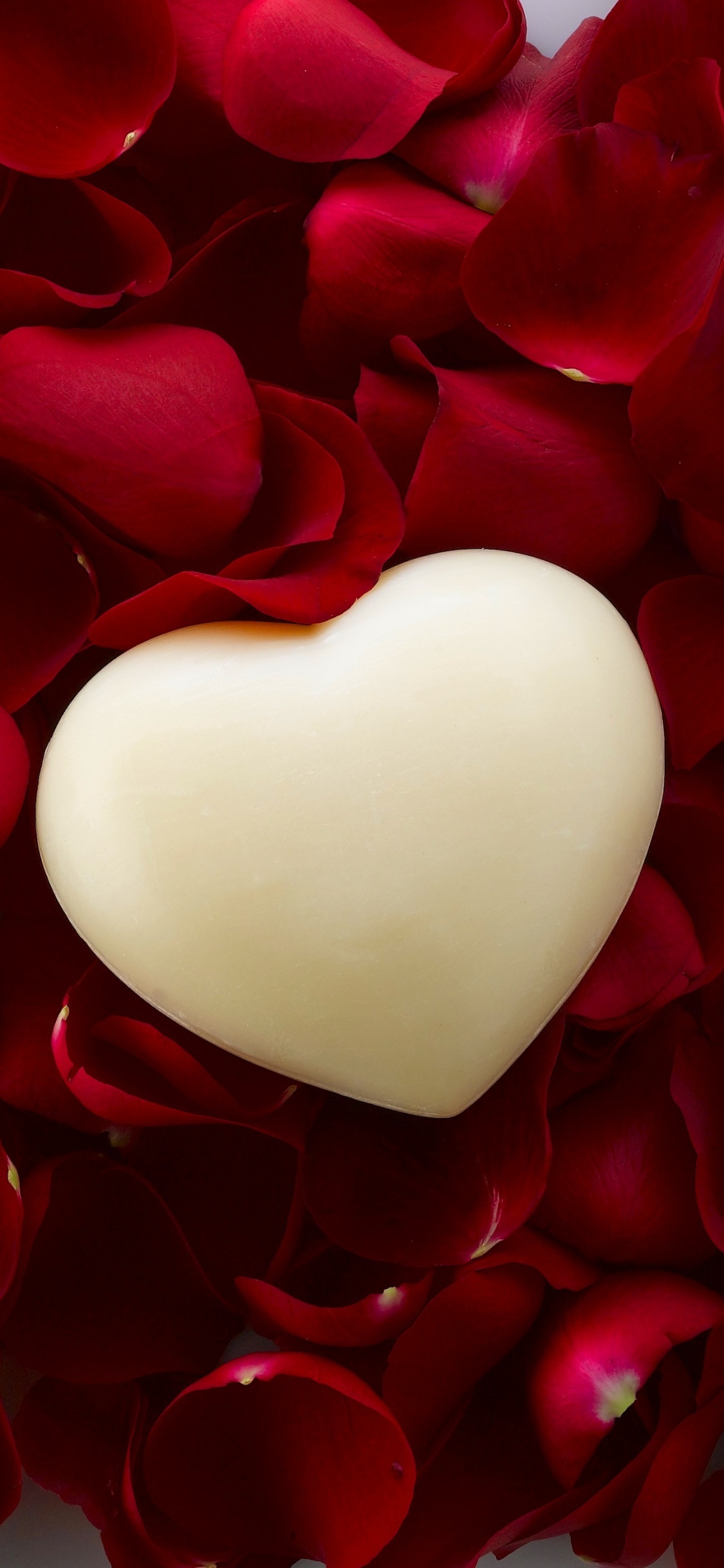 Обои сердце, красный цвет, лепесток, День Святого Валентина, любовь в разрешении 1125x2436