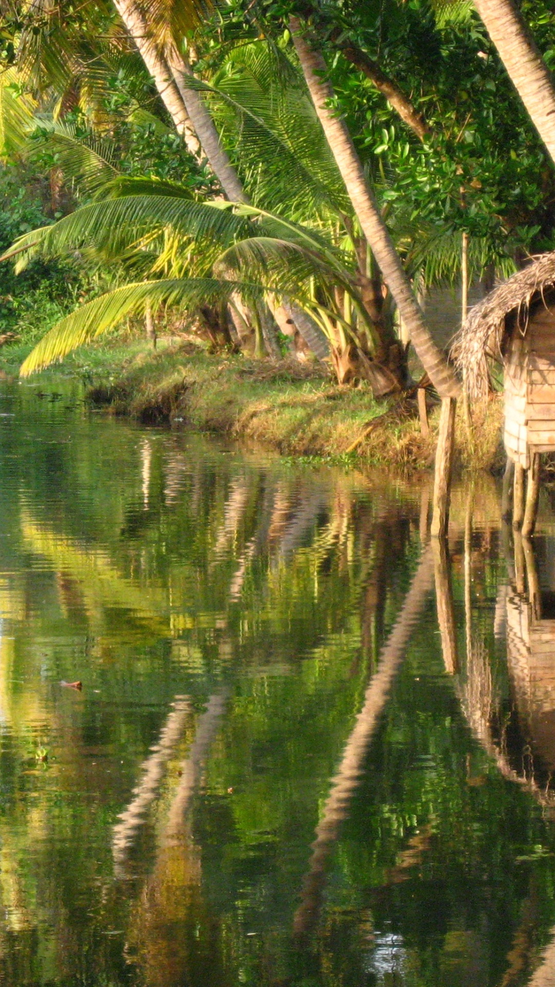 Обои Заводям Кералы, Алаппужа, отражение, вода, природный заповедник в разрешении 1080x1920