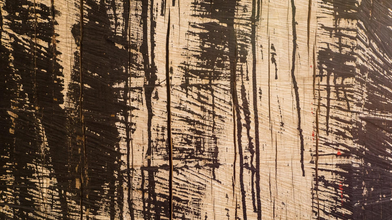 Обои древесина, текстура древесины, планка, вода, природный ландшафт в разрешении 1280x720