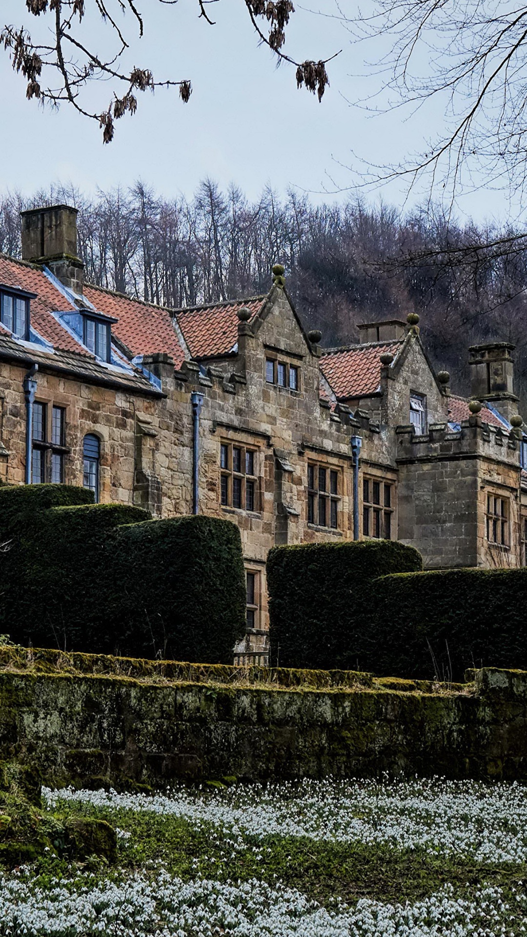 Обои природа, имущество, Хаус, дерево, здание в разрешении 1080x1920