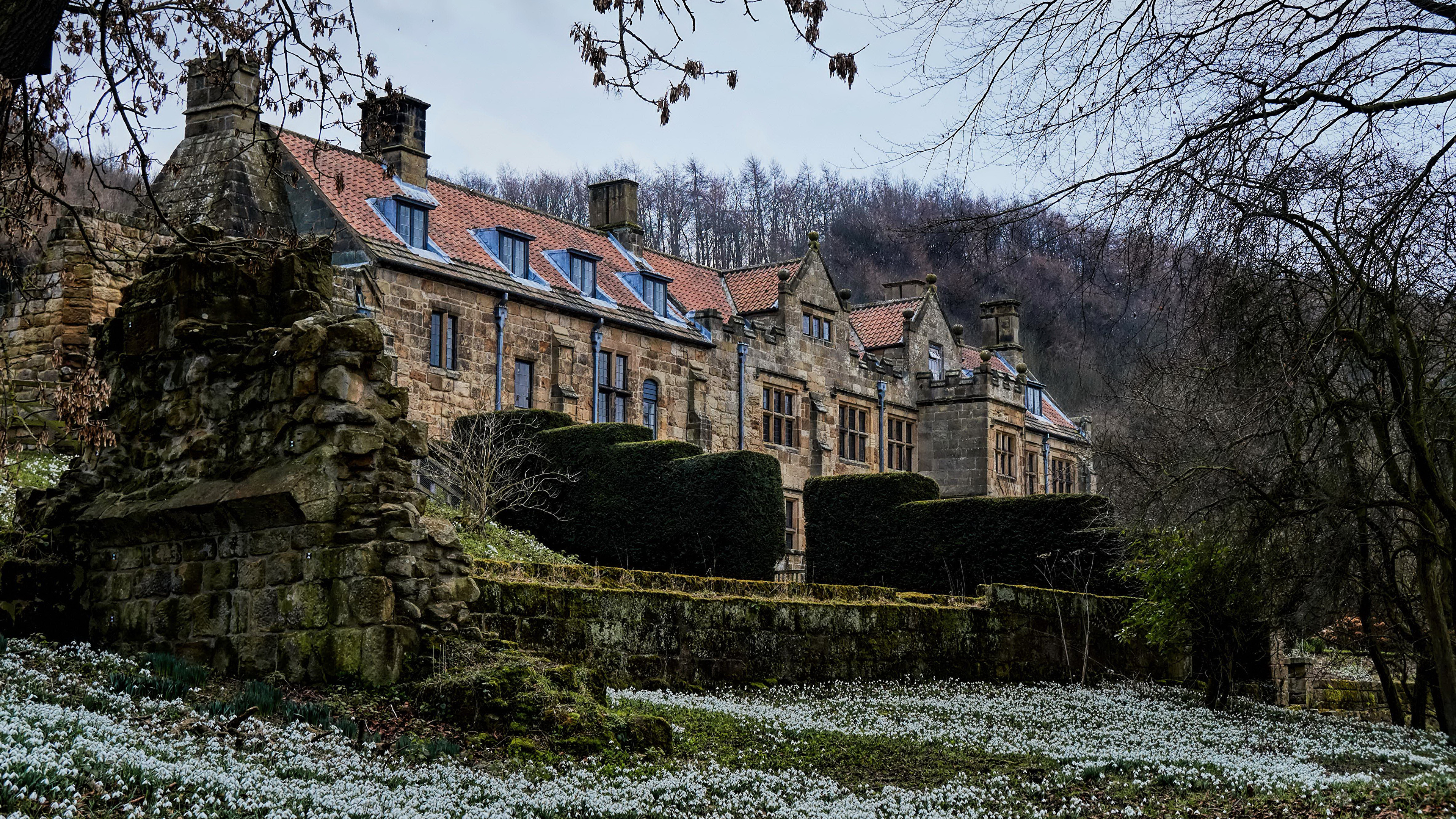 Обои природа, имущество, Хаус, дерево, здание в разрешении 3840x2160