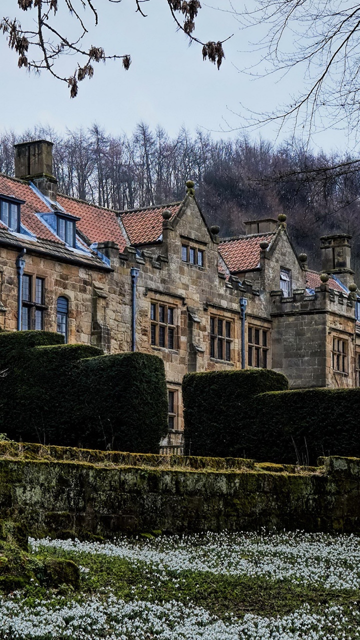 Обои природа, имущество, Хаус, дерево, здание в разрешении 720x1280