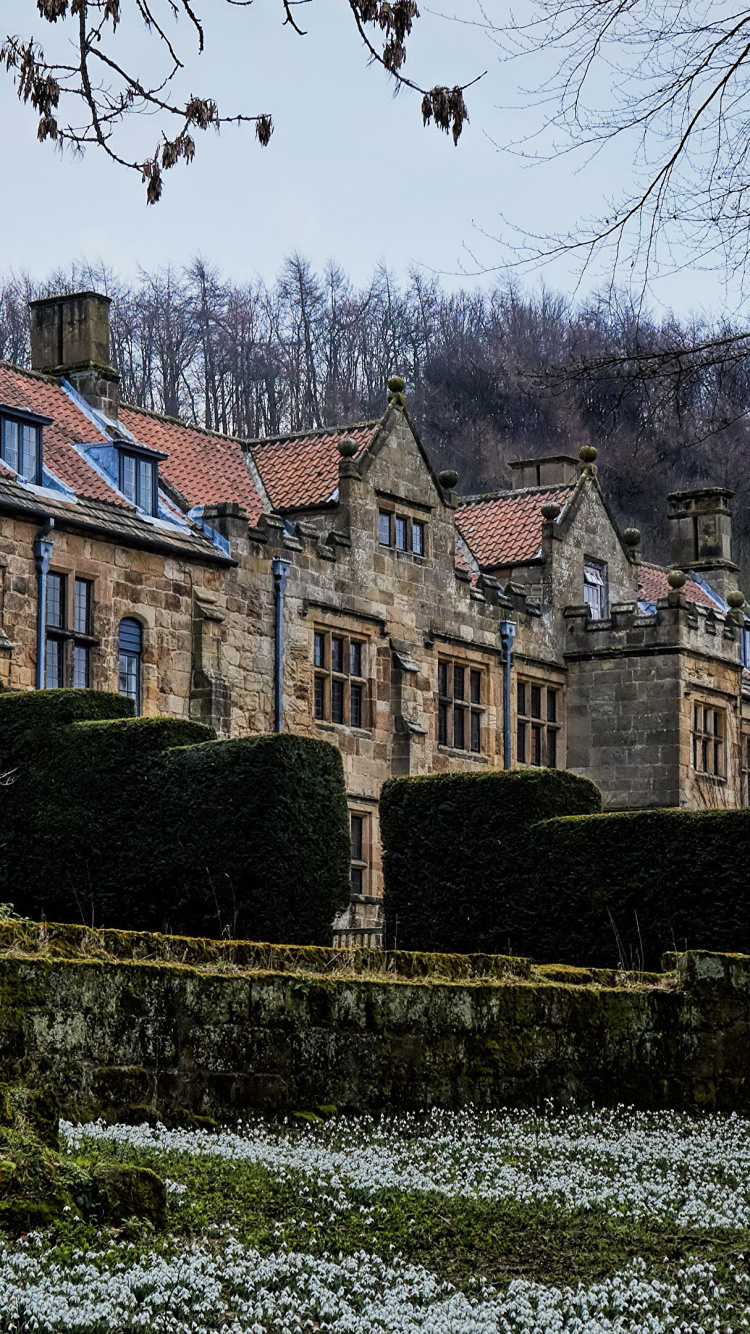 Обои природа, имущество, Хаус, дерево, здание в разрешении 750x1334