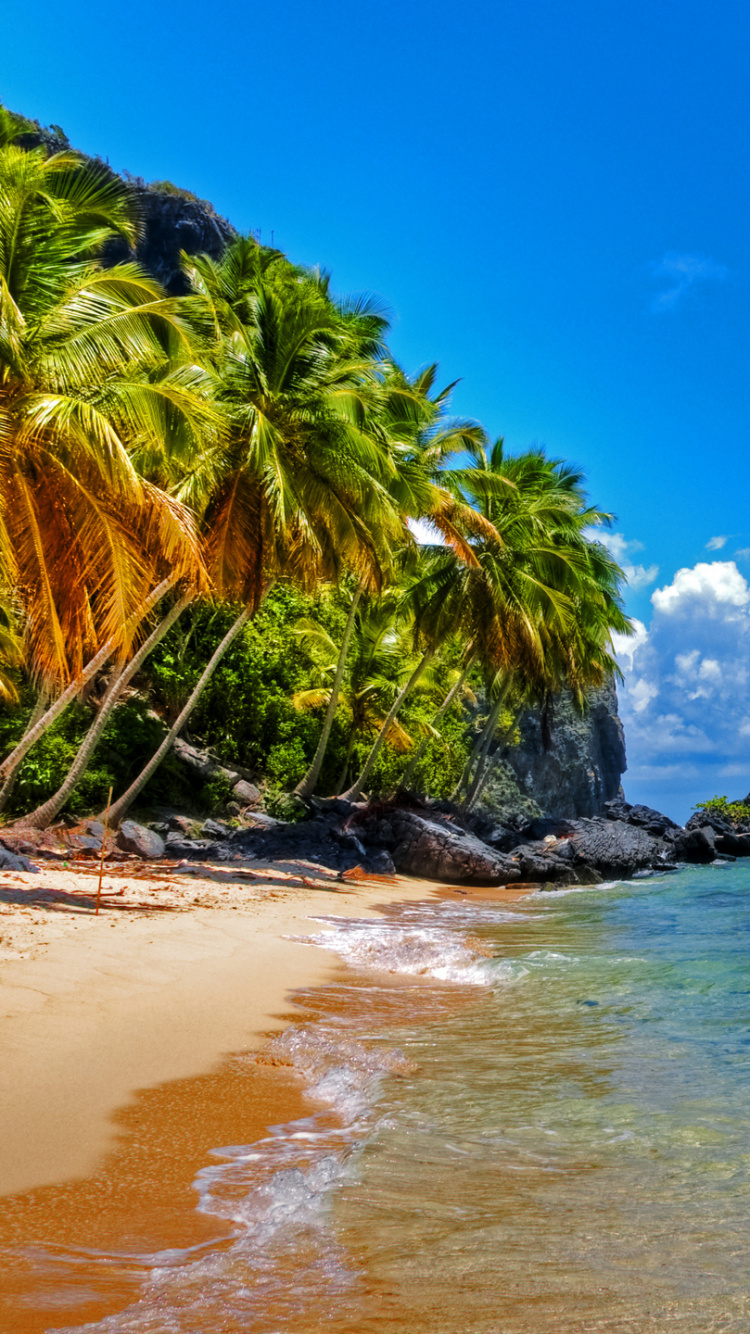 Обои Плайя Фронтон, пляж, море, природа, тропическая зона в разрешении 750x1334