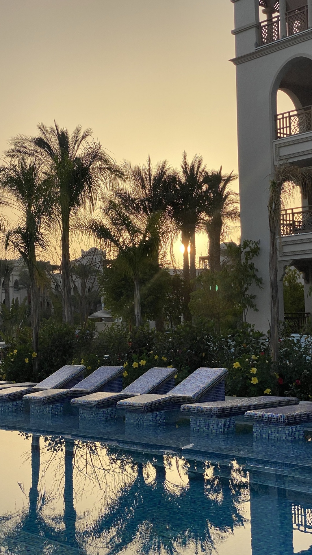 Обои отражение, пальмовые рощи, недвижимость, вода, растение в разрешении 1080x1920