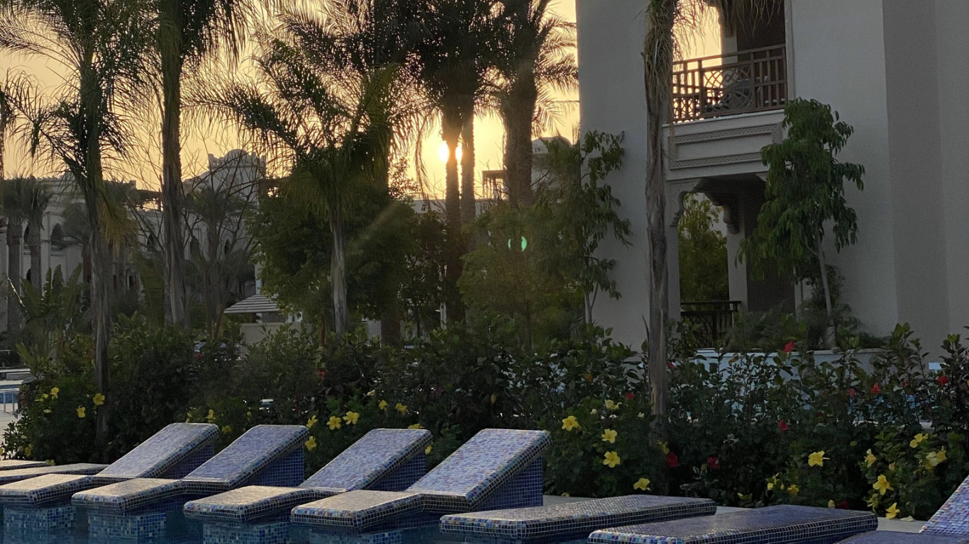 Обои отражение, пальмовые рощи, недвижимость, вода, растение в разрешении 1366x768