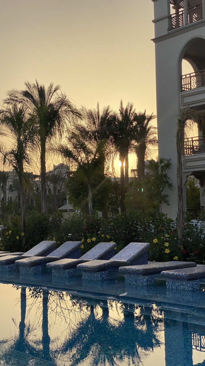 Обои отражение, пальмовые рощи, недвижимость, вода, растение в разрешении 720x1280