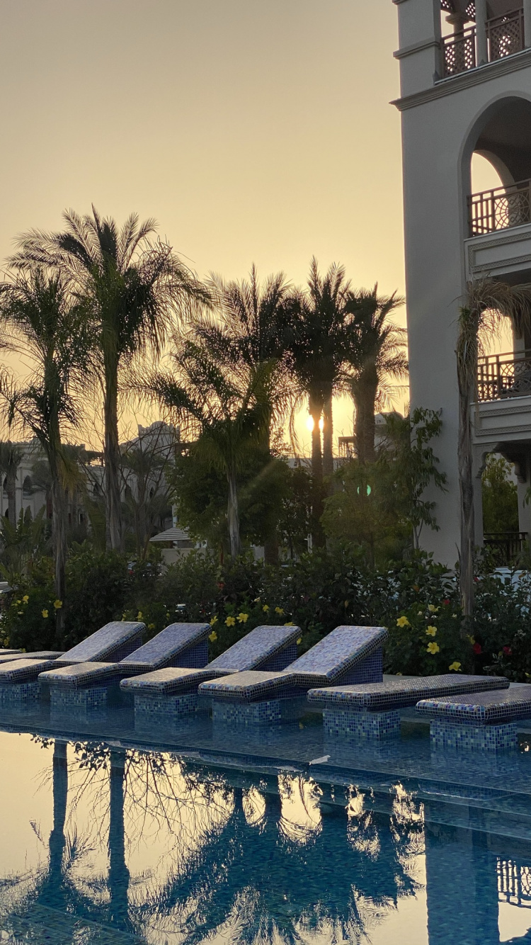 Обои отражение, пальмовые рощи, недвижимость, вода, растение в разрешении 750x1334