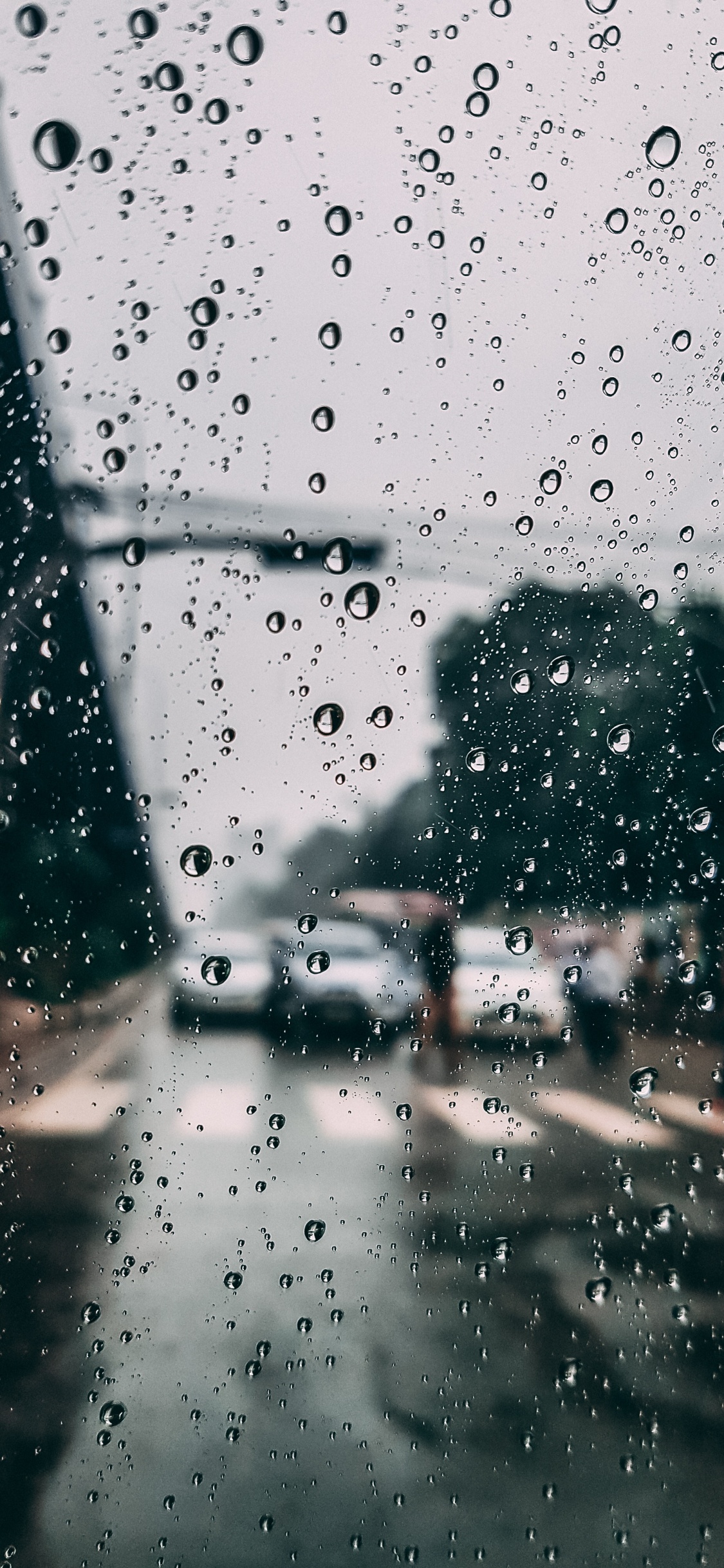 Обои дождь, окно, осаждение, вода, мелкий дождь в разрешении 1125x2436