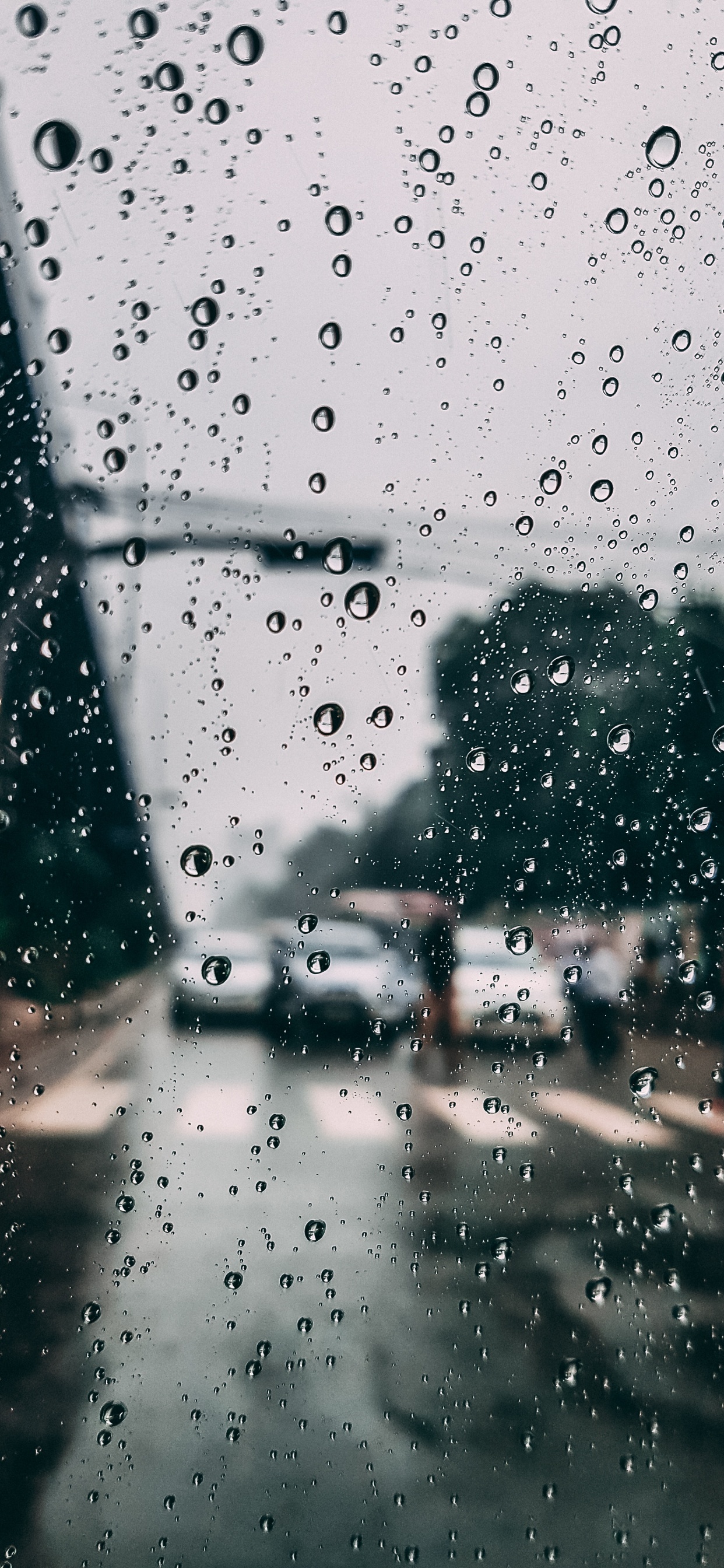 Обои дождь, окно, осаждение, вода, мелкий дождь в разрешении 1242x2688