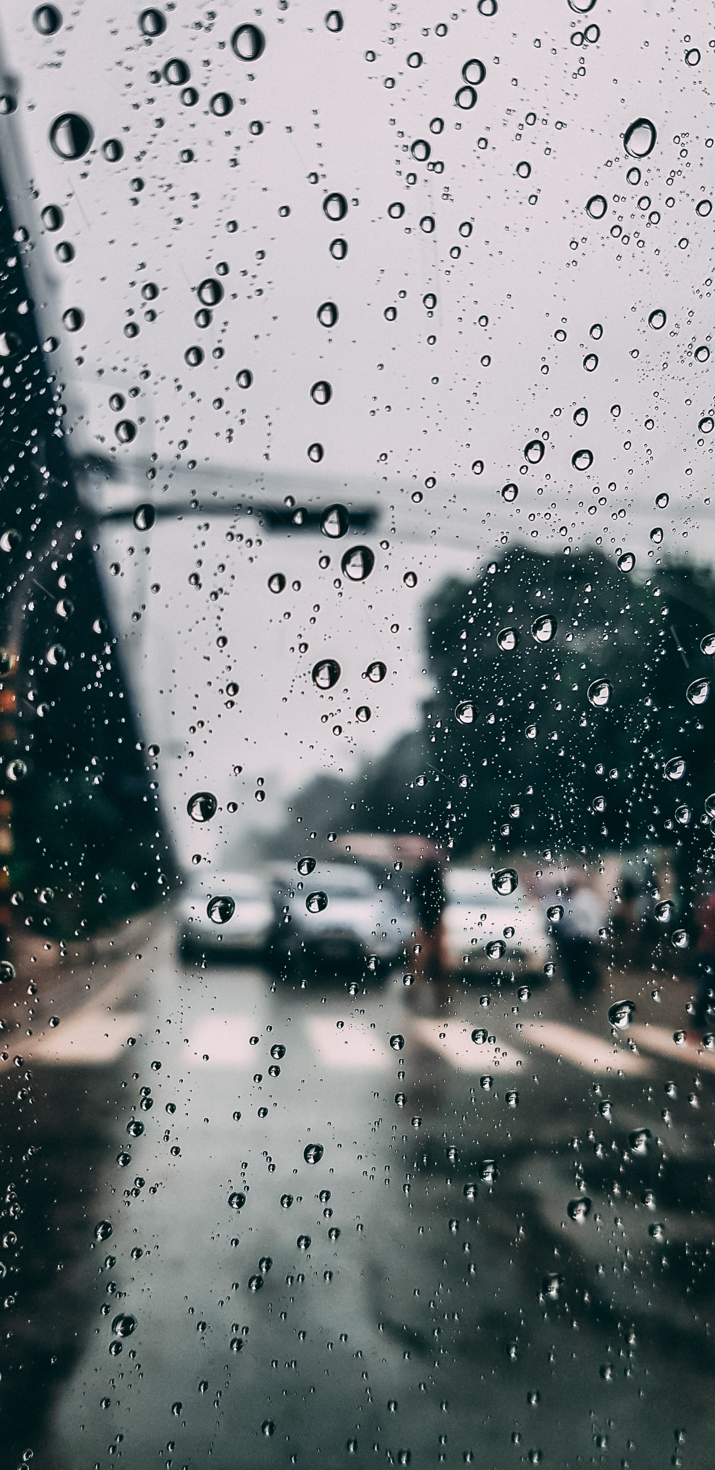 Обои дождь, окно, осаждение, вода, мелкий дождь в разрешении 1440x2960