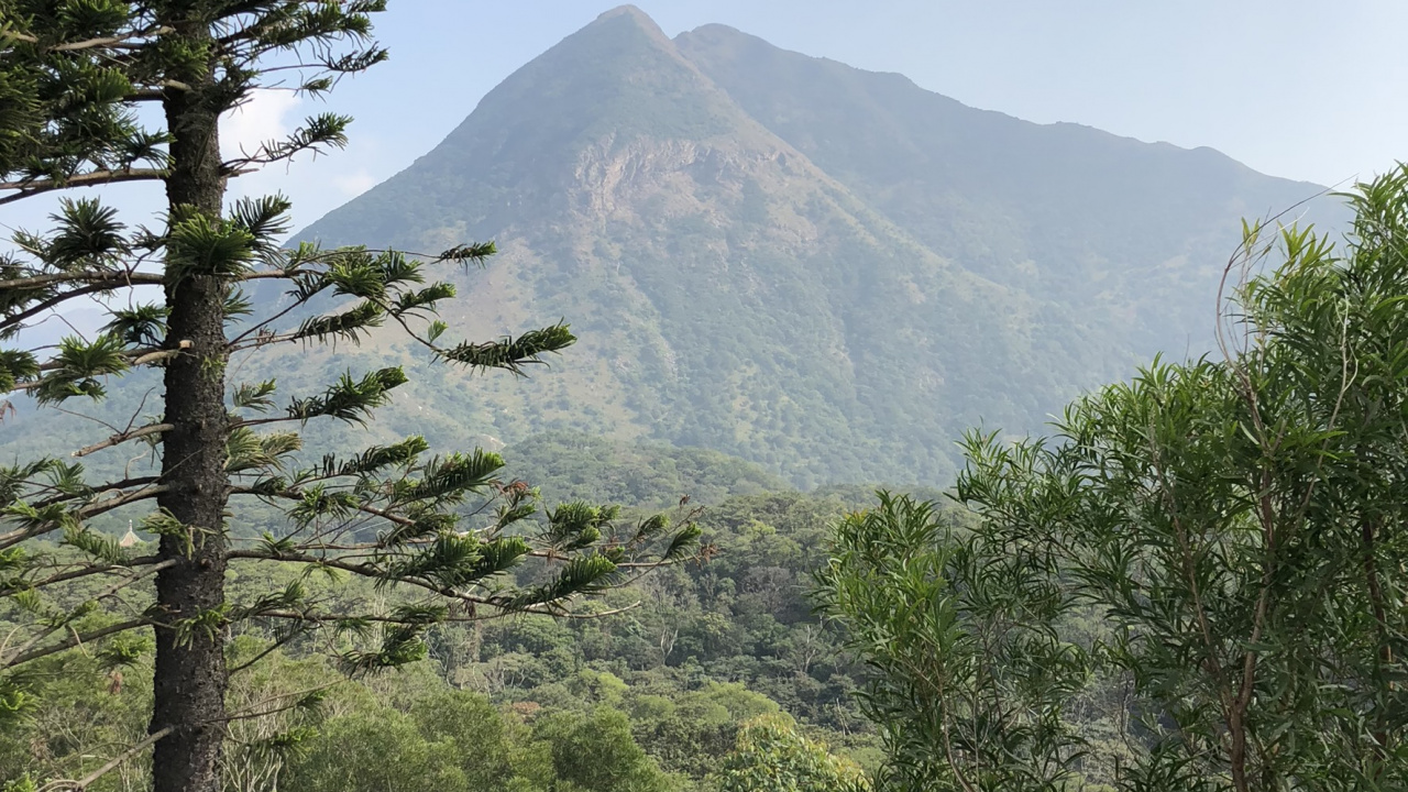 Обои растительность, горный рельеф, растительное сообщество, нагорье, холм в разрешении 1280x720