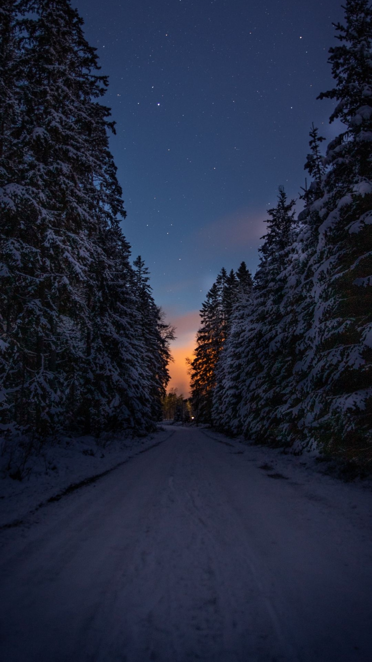 Обои корлей, королевское сияние, облако, атмосфера, растение в разрешении 750x1334