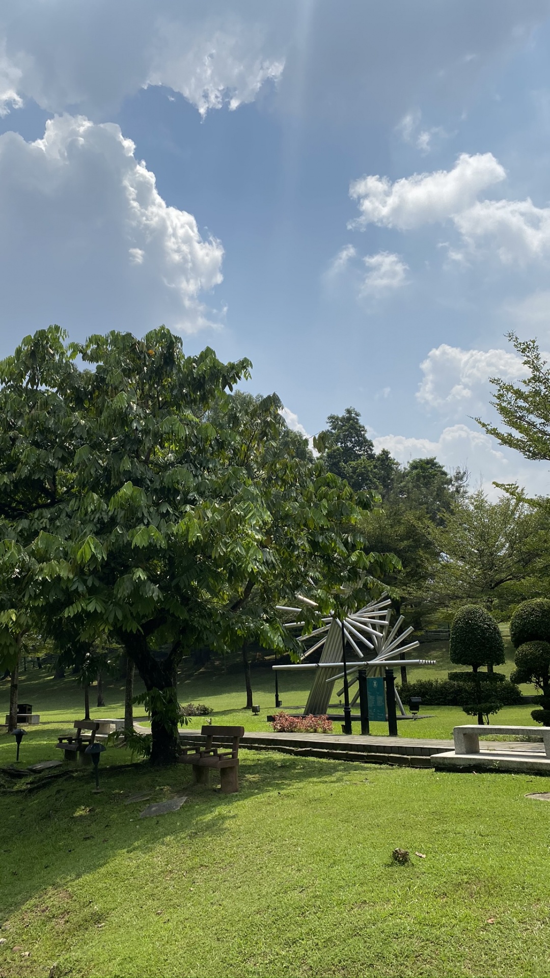 Обои облако, дерево, парк, сад, кучевое облако в разрешении 1080x1920